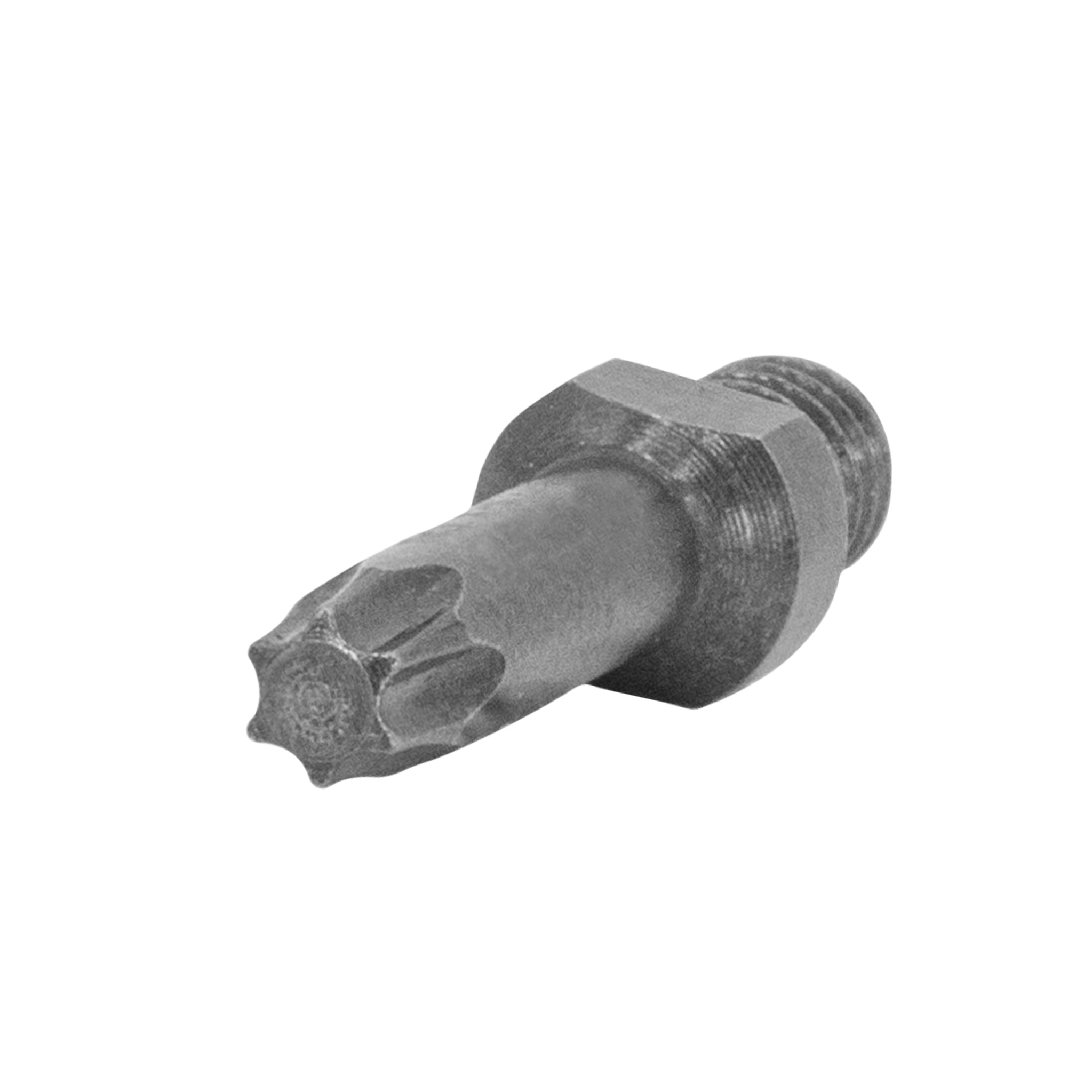 TORX 12-24 Threaded Bits - Vega Tools